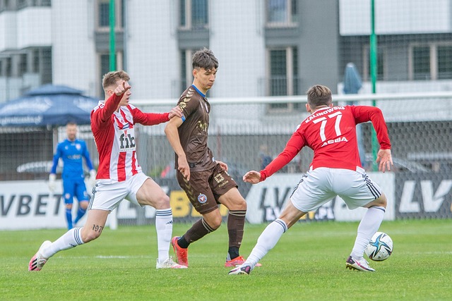 样对布兰特 样对布兰特