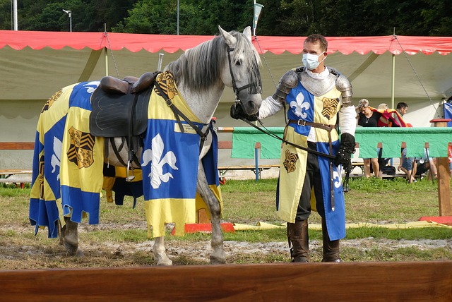 中国阵容的 中国阵容的