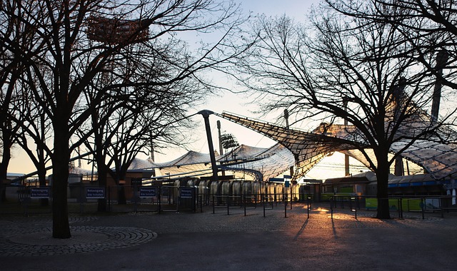 进入决赛 进入决赛