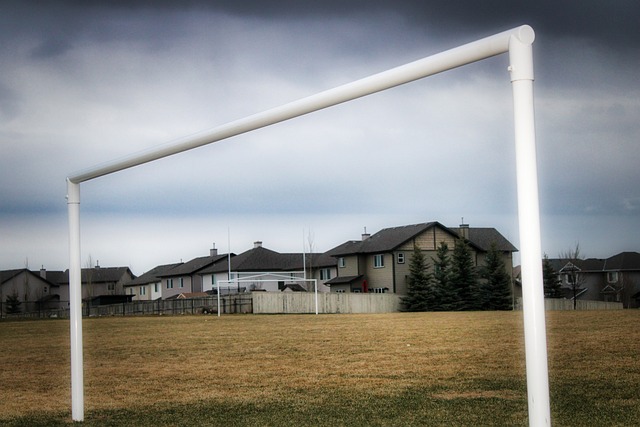 国的国宝 国的国宝