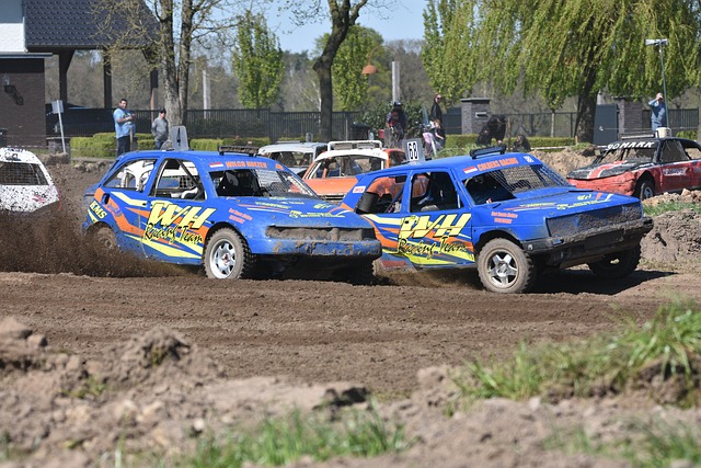 排名提升的 排名提升的