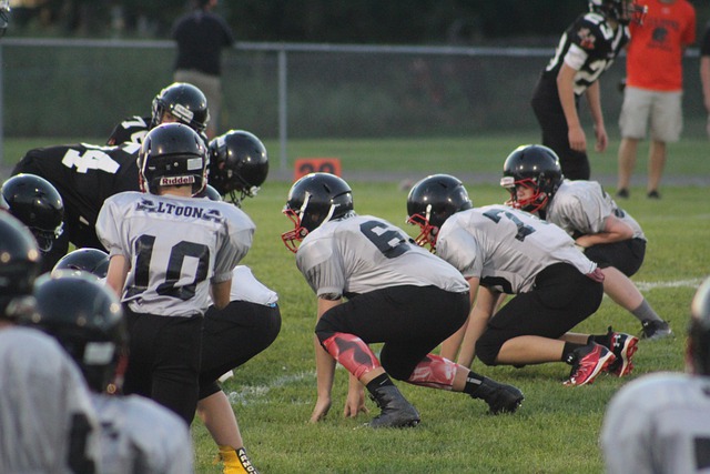 在采访中坦